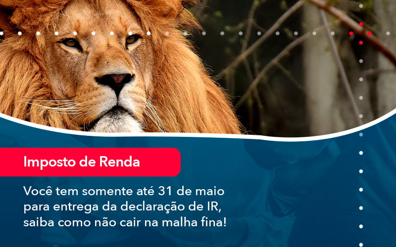 Voce Tem Somente Ate 31 De Maio Para Entrega Da Declaracao De Ir Saiba Como Nao Cair Na Malha Fina 1 - UP Cont. Digital